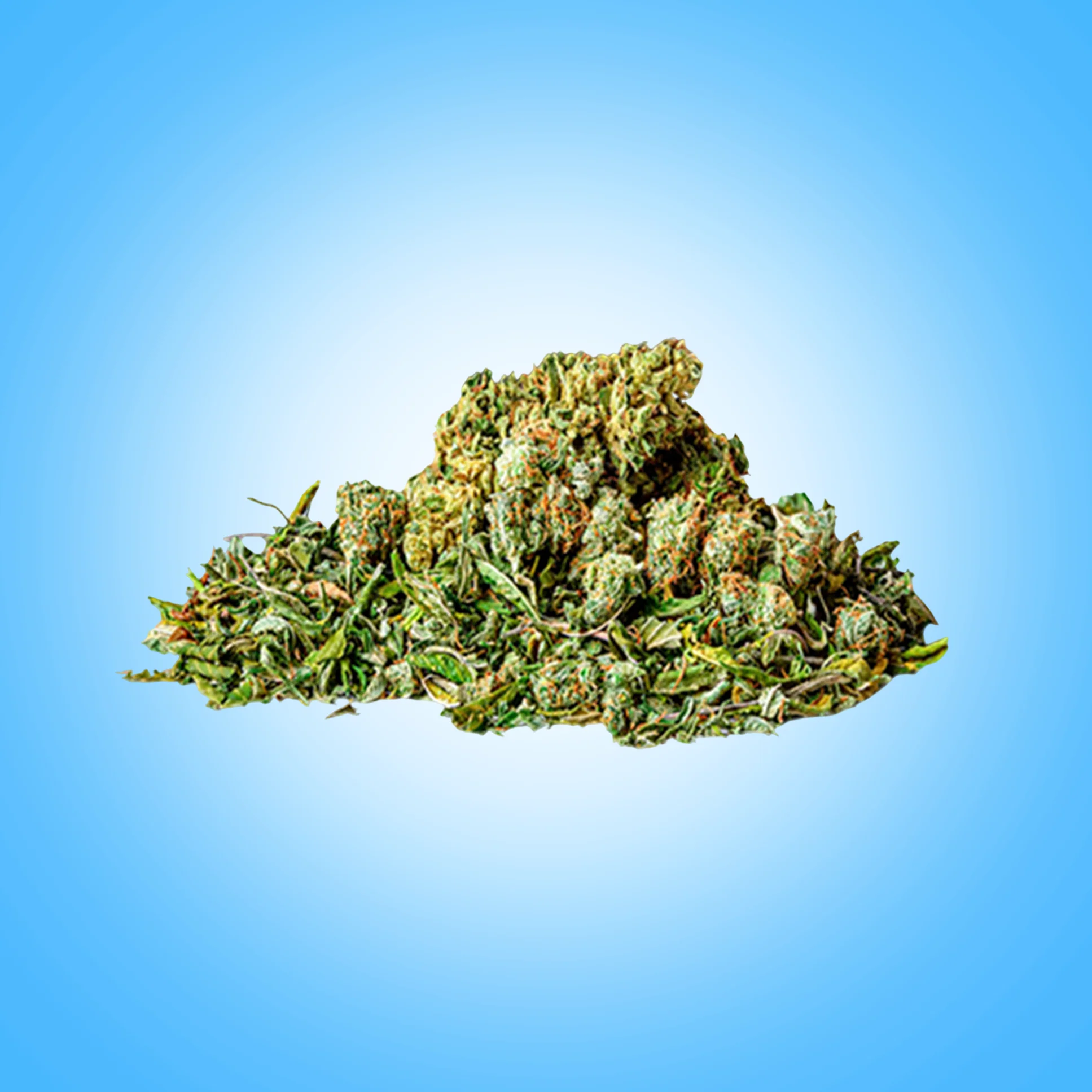 Flower no Oz deals